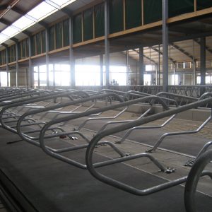 koematras-1