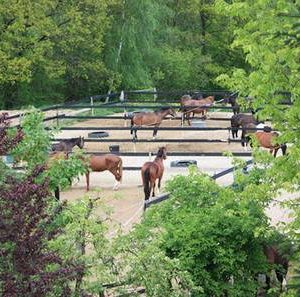 kunststof-roosters-ecoraster-paddock-bosrubber