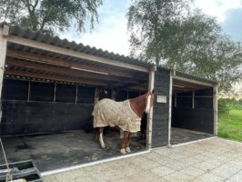 paard-schuilstal-rubber-wandbekleding-bosrubber