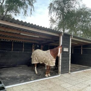 paard-schuilstal-rubber-wandbekleding-bosrubber